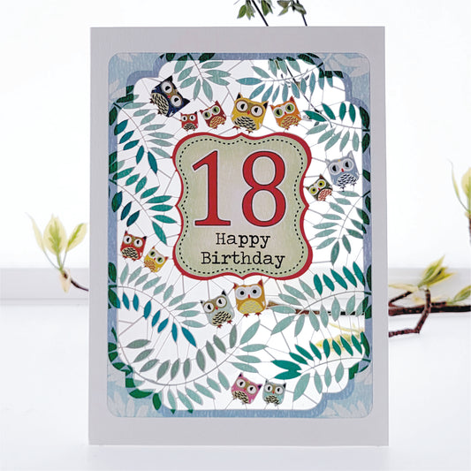 Age 18 Birthday Card, 18th Birthday Card, Owls Card - PM832