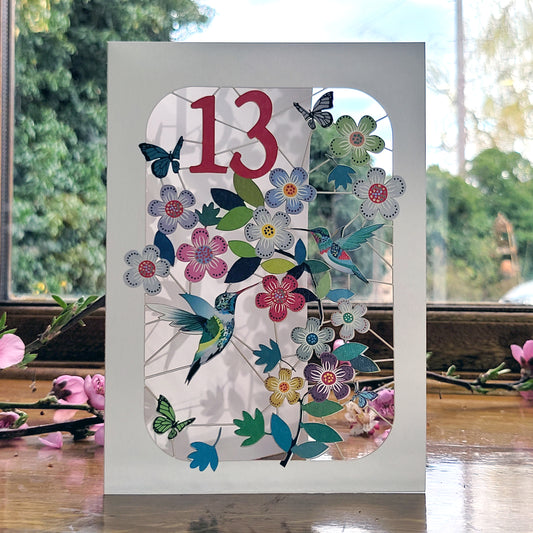 Age 13 Birthday Card, 13th Birthday Card, Humming Bird Card - GF013