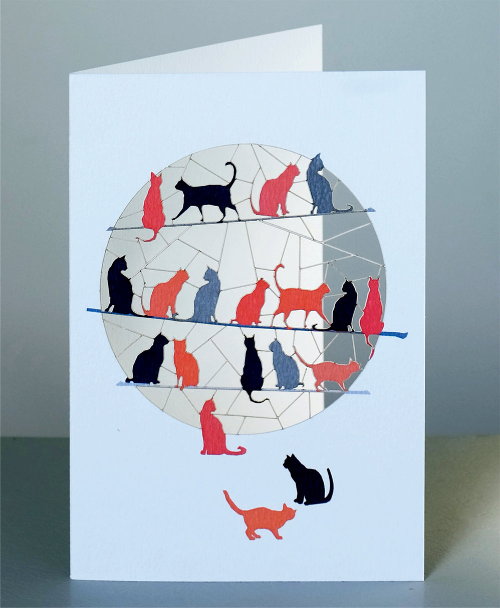 Cats Greetings Card - Blank - Cat Card - PM855
