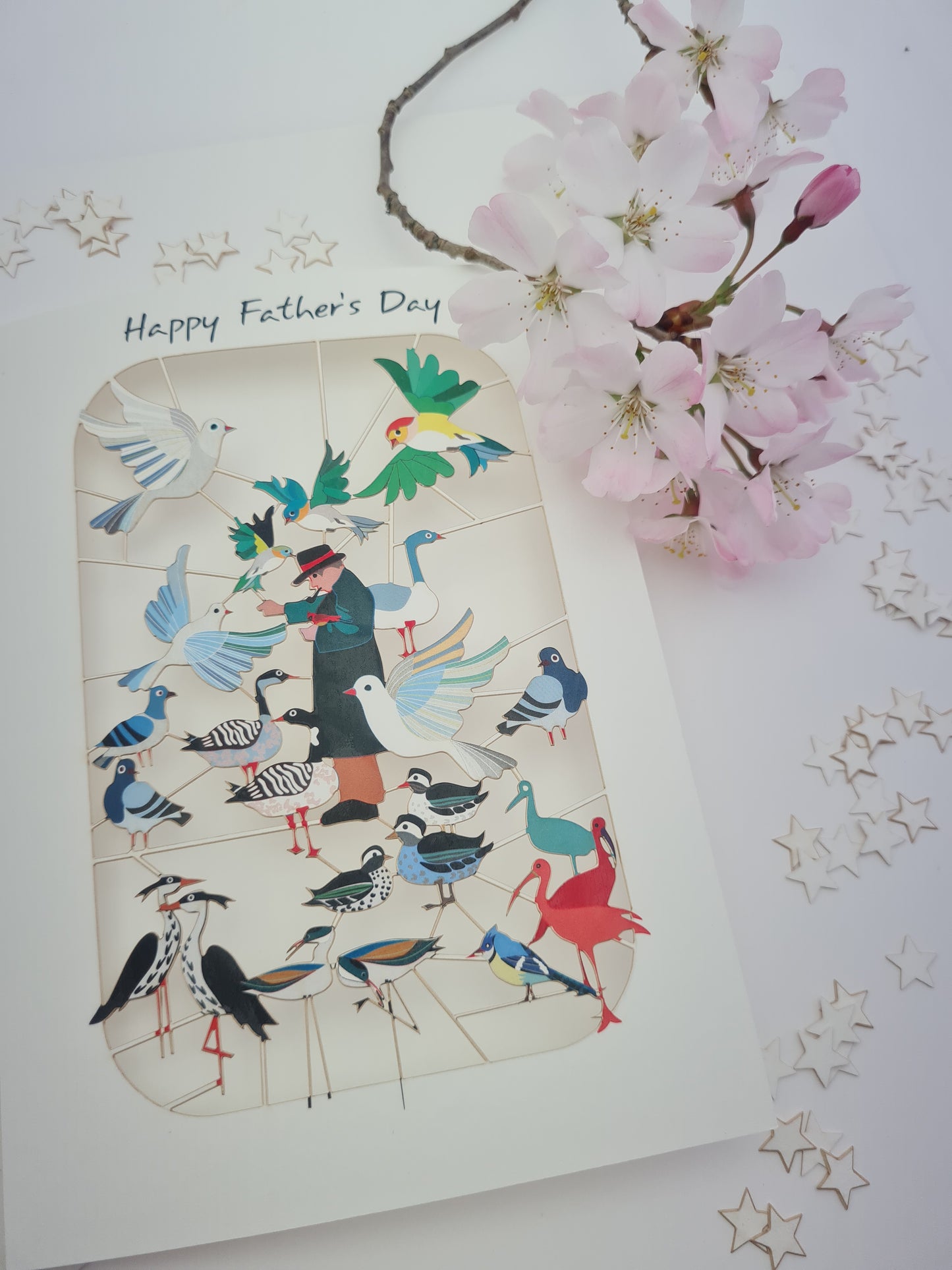 Man Feeding Birds - ''Happy Father's Day'' - Fathers Day Card - PMF010