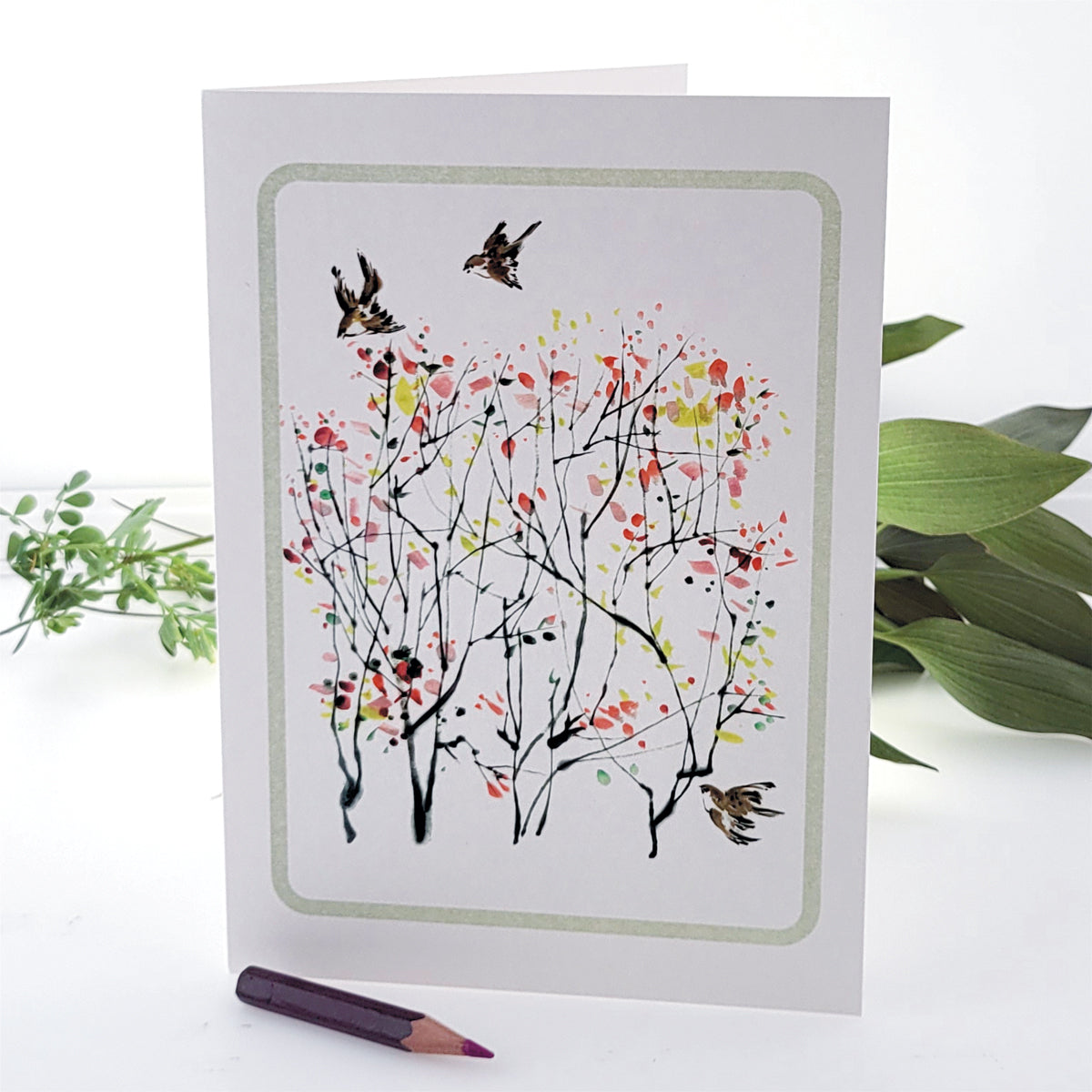 Sparrows and Blossom - Blank - Birds Card - D19