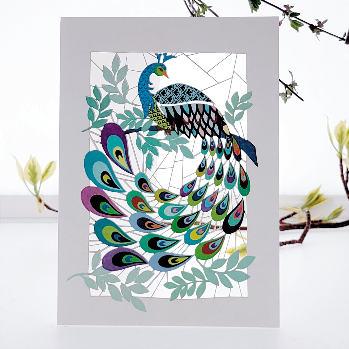 Peacock Greetings Card - Blank - Bird Card - PM120