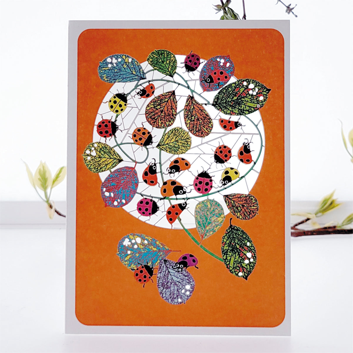 Ladybird Greetings Card - Blank - Nature Card - PM173