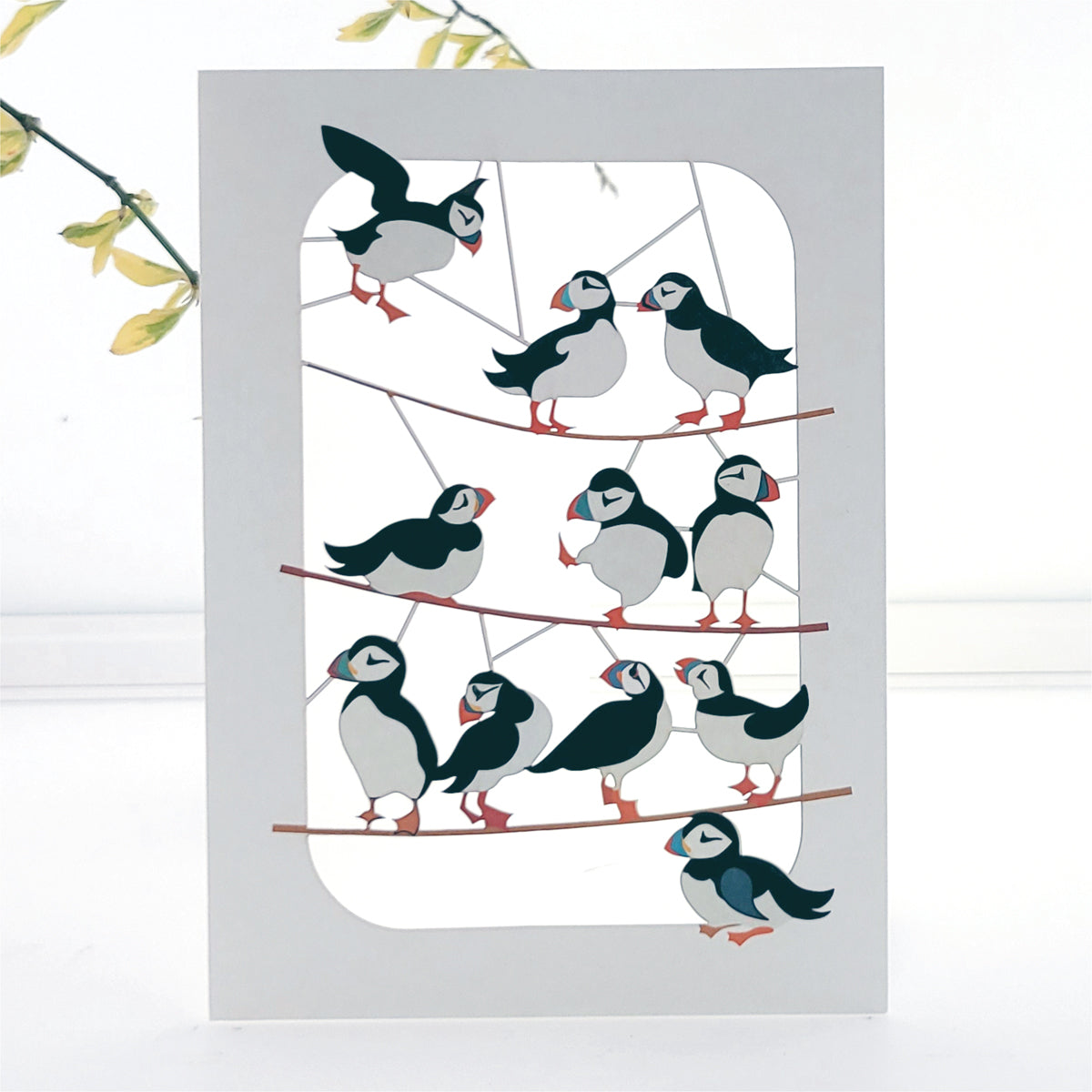 Puffins Greetings Card - Blank - Bird Card - PM292