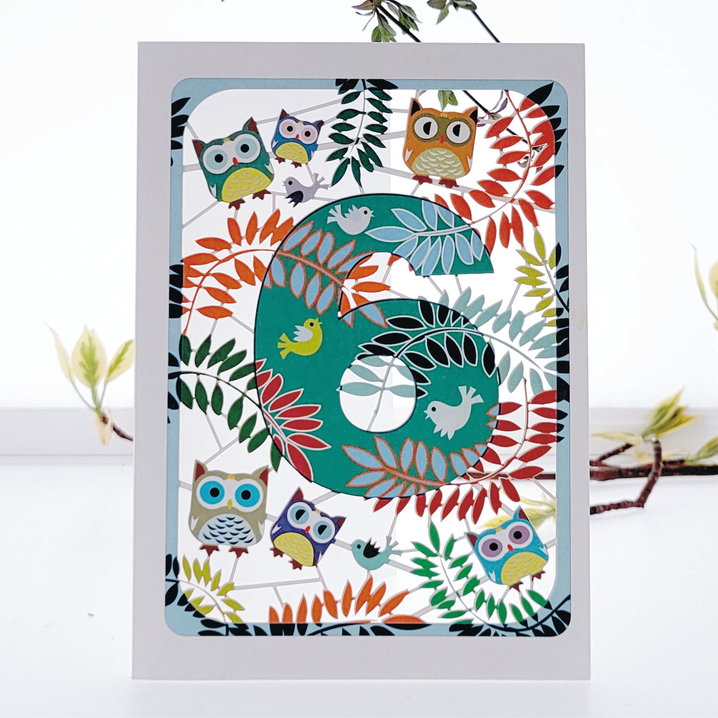 Age 6 Birthday Card, 6th Owls Card - PM796
