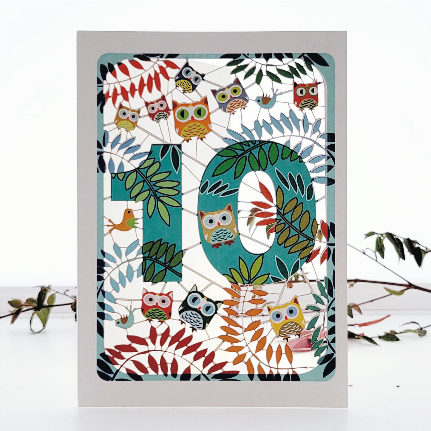 Age 10 Birthday Card, 10th Owls Card - PM810
