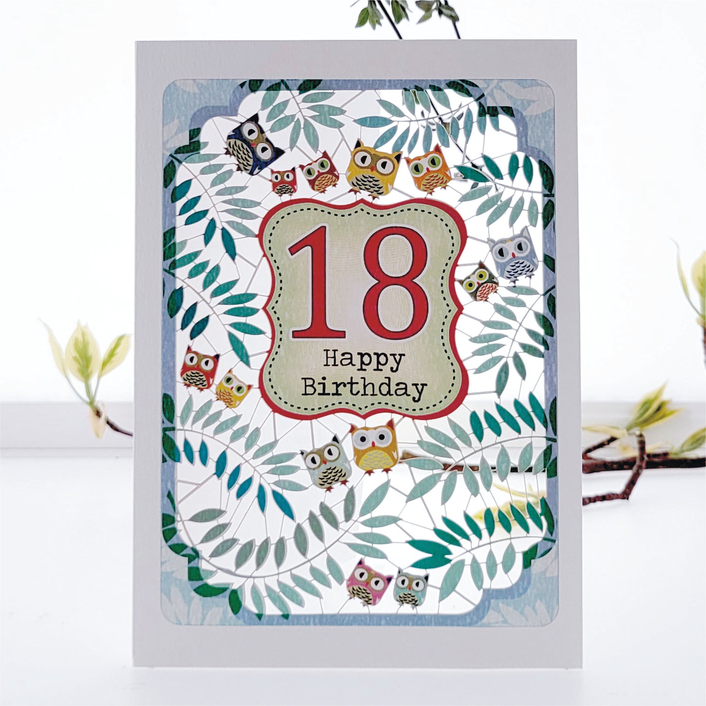Age 18 Birthday Card, 18th Birthday Card,  Owls Card - PM832