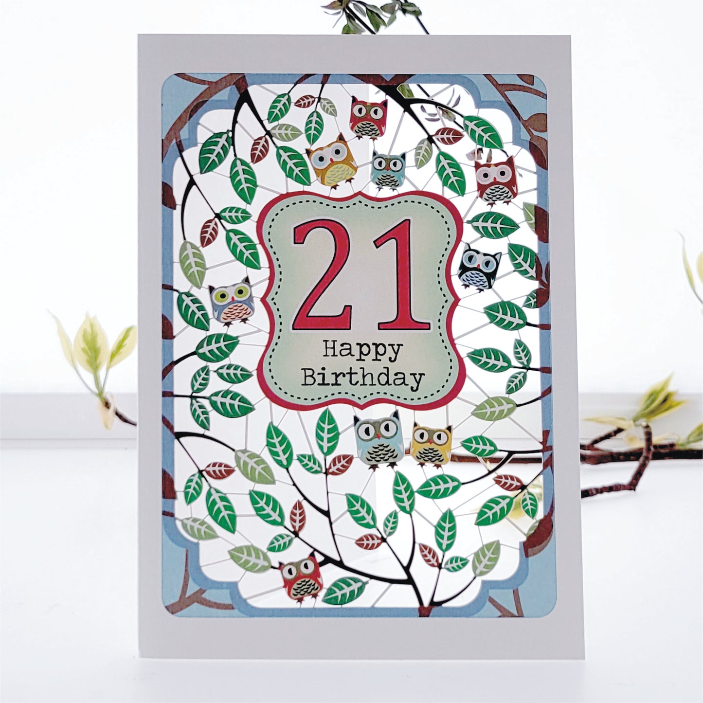 Age 21 Birthday Card, 21st Birthday Card, Owls Card - PM833