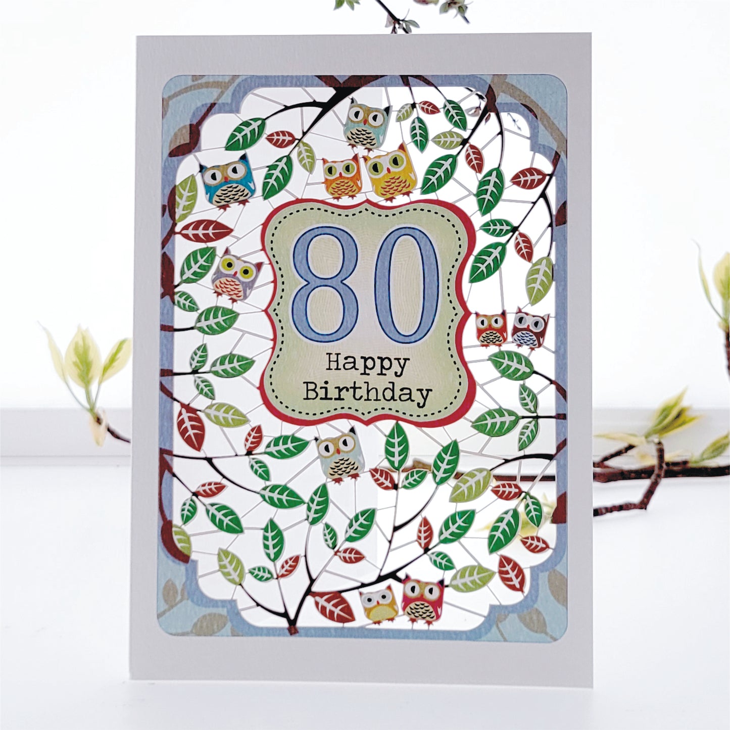 Age 80 Birthday Card, 80th Birthday Card, Owls Card - Pm840
