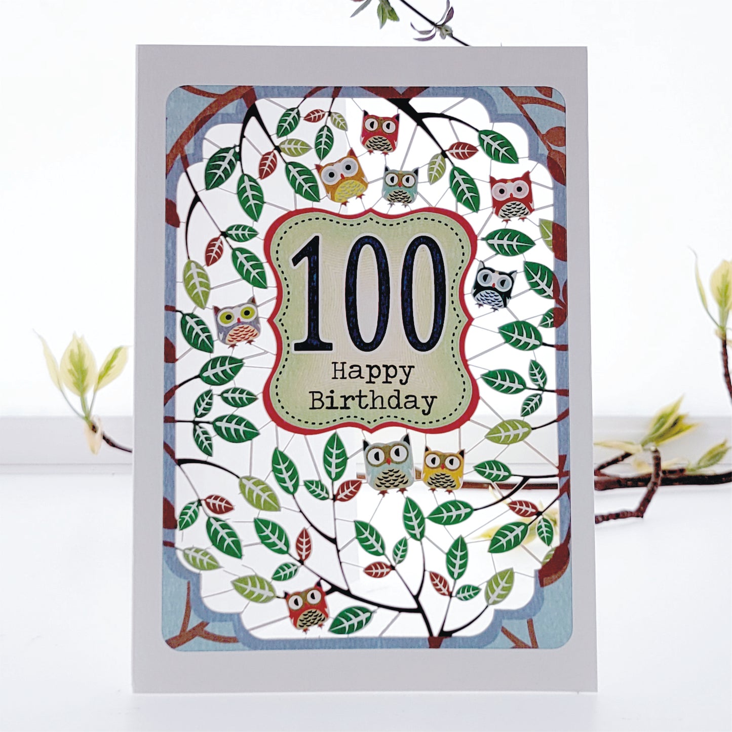 Age 100 Birthday Card, 100th Birthday Card, Owls Card - PM842