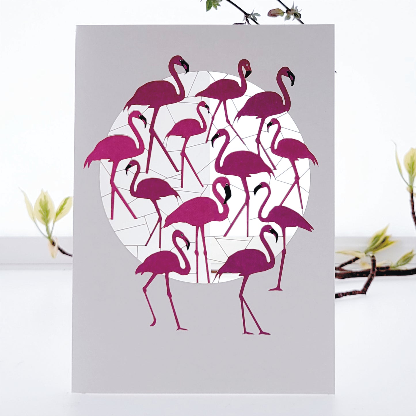 Flamingos Greetings Card - Blank - Bird Card - PM852