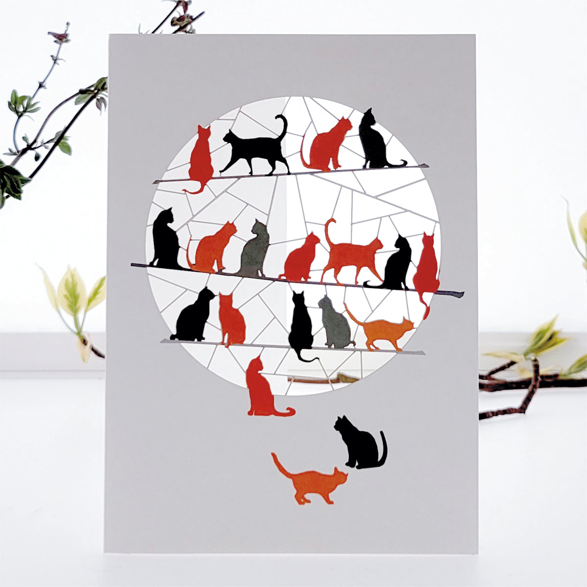 Cats Greetings Card - Blank - Cat Card - PM855
