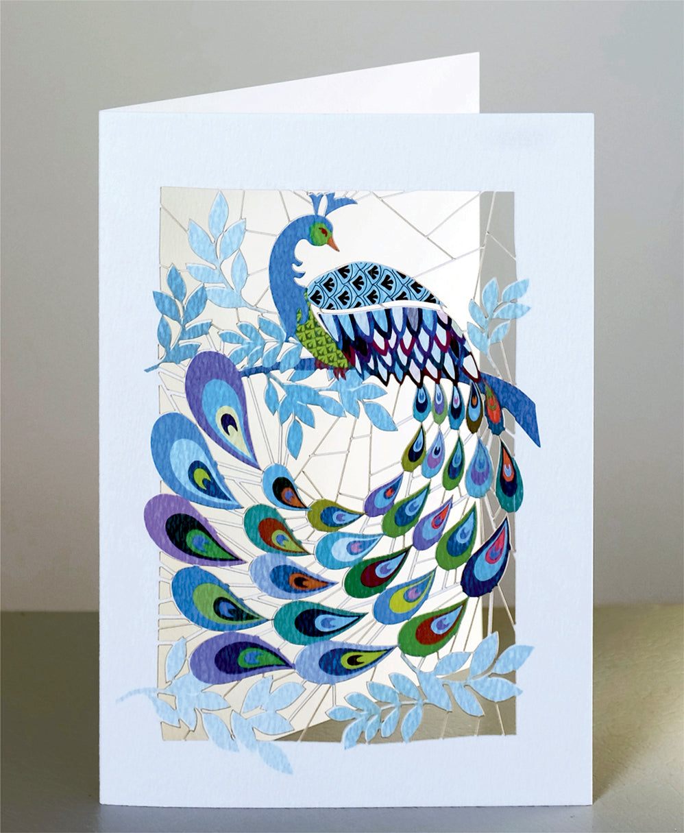 Peacock Greetings Card - Blank - Bird Card - PM120