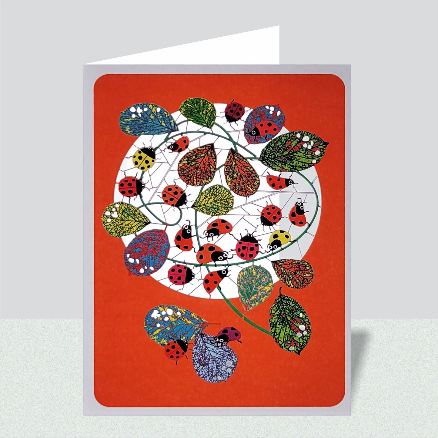 Ladybird Greetings Card - Blank - Nature Card - PM173
